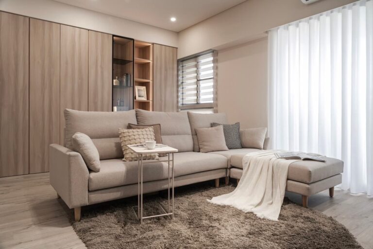 以色列貓抓布贊許 280180 1