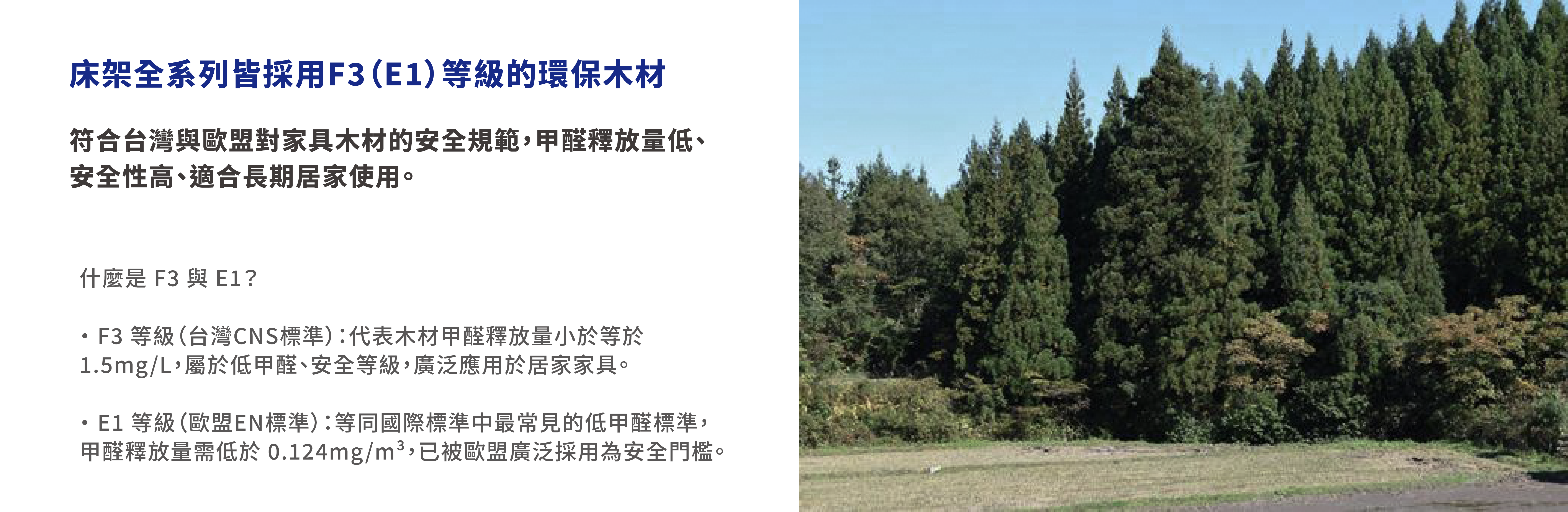 002 木材-10 002 木材 10 2